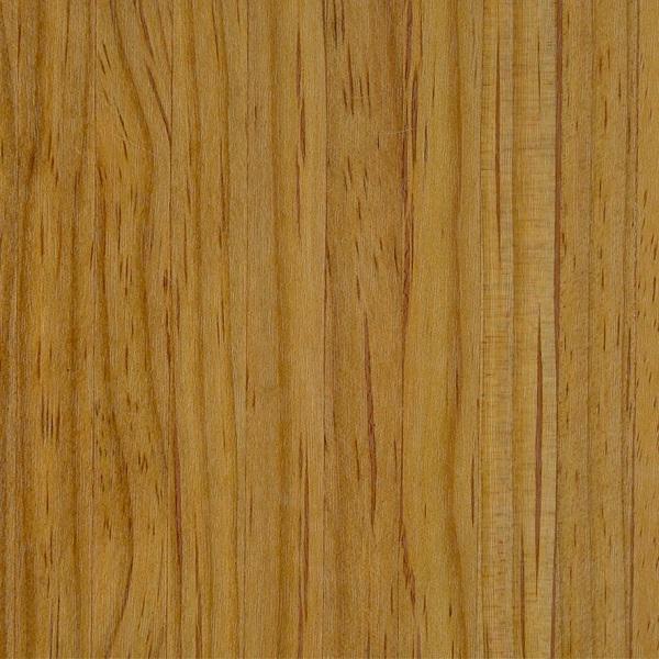 CHESTNUT-chestnut