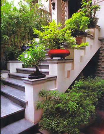 Thiết kế cầu thang ngoài trời