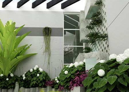 Nguyên tắc bài trí cây xanh trong nhà