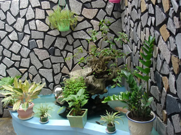 Những cách tuyệt vời để lôi ánh sáng tự nhiên vào nhà-2