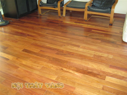 Sàn gỗ Giáng Hương Lào GH05