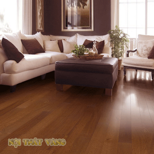Sàn gỗ công nghiệp Robina C25