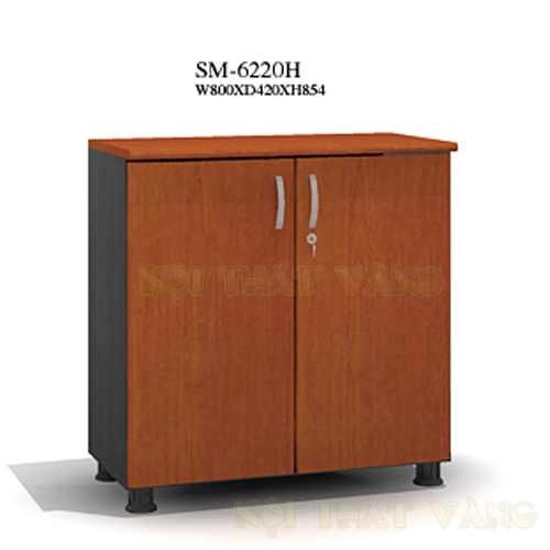 Tủ tài liệu SM6220FH-DC