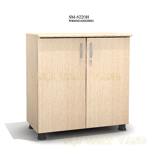  Tủ tài liệu SM6220FH-PO