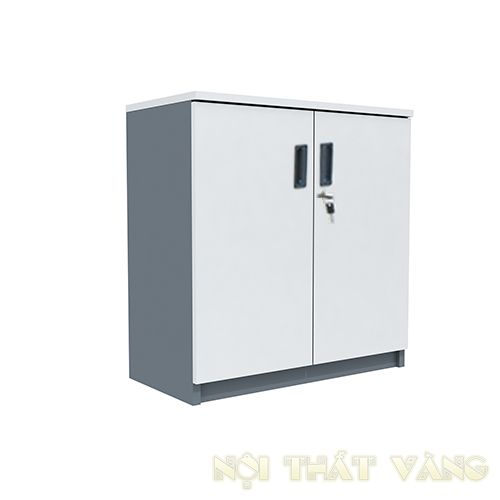 Tủ tài liệu SV803DGC